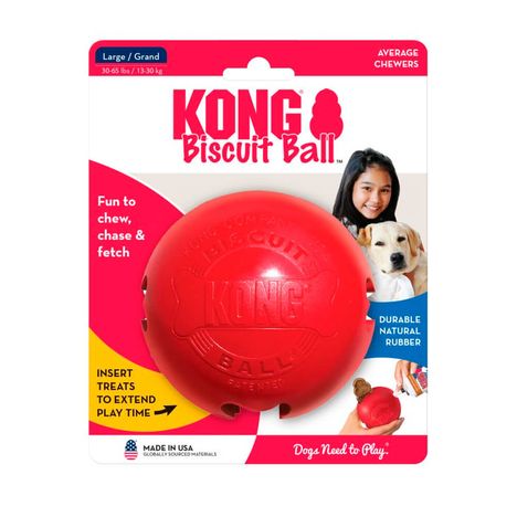 Brinquedo Kong Biscuit Ball Small Brinquedo Kong Biscuit Ball Small