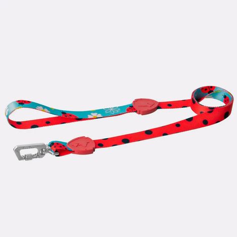 Guia tradicional para Cachorros New Ladybug- M