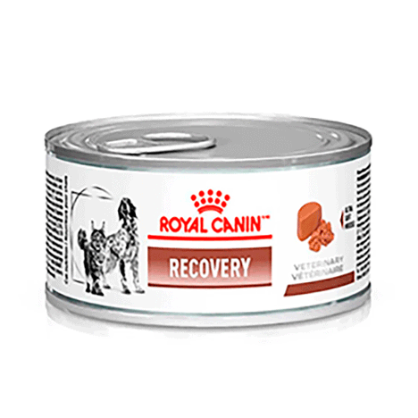 Ração Úmida Royal Canin Recovery Para Cães e Gatos 195g