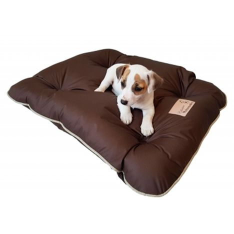 Almofadog Choco G Pickorruchos Almofadog Choco G Pickorruchos