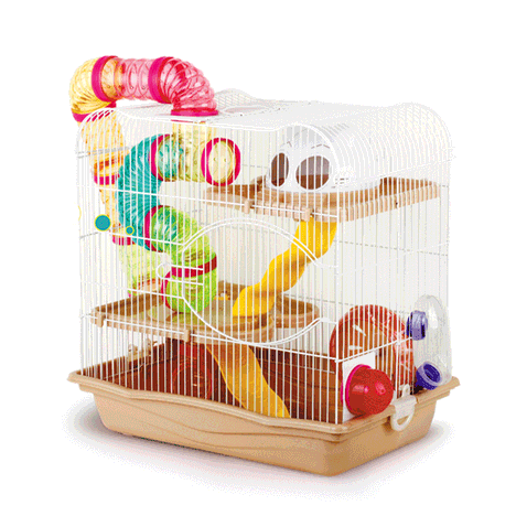 Gaiola de Hamster Labirinto Safari G