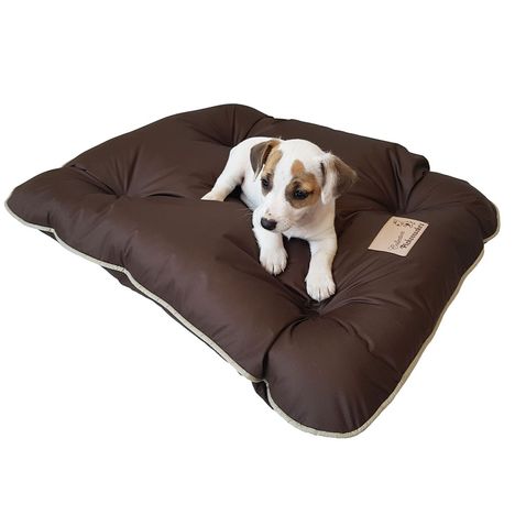 Almofadog Choco M Pickorruchos Almofadog Choco M Pickorruchos