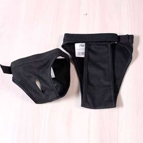 Calça Fisiológica Para Pets Tamanho M - Meu Pet