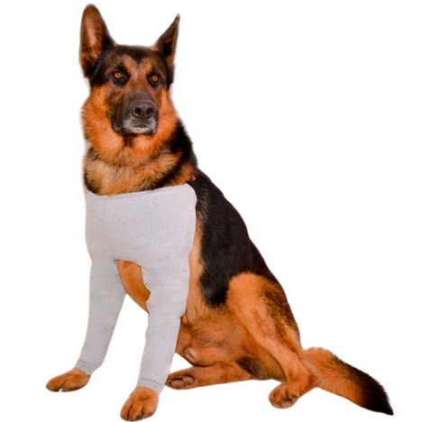 Protetor de Membros Dianteiros Nina Pet para Cães cor Cinza - Tamanho 4 Protetor de Membros Dianteiros Nina Pet para Cães cor Cinza - Tamanho 4