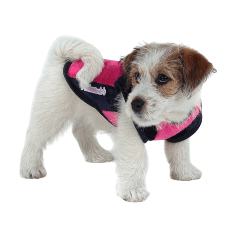 Blusa My Dream Color Rosa Tamanho 0 Pickorruchos Blusa My Dream Color Rosa Tamanho 0 Pickorruchos