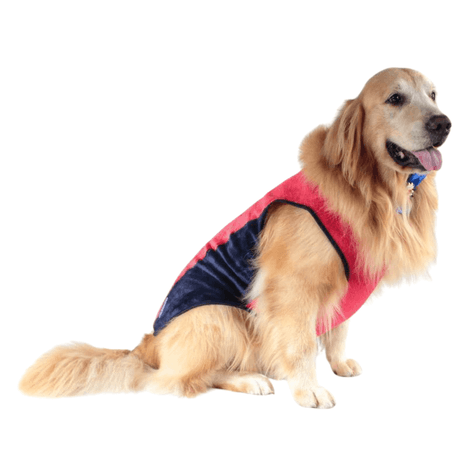 Roupinha My Dream Color para Cães Vermelha N°08 Pickorruchos Roupinha My Dream Color para Cães Vermelha N°08 Pickorruchos