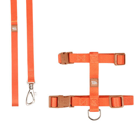 Conjunto Peitoral H Toh Laranja e Caqui para Gato Conjunto Peitoral H Toh Laranja e Caqui para Gato