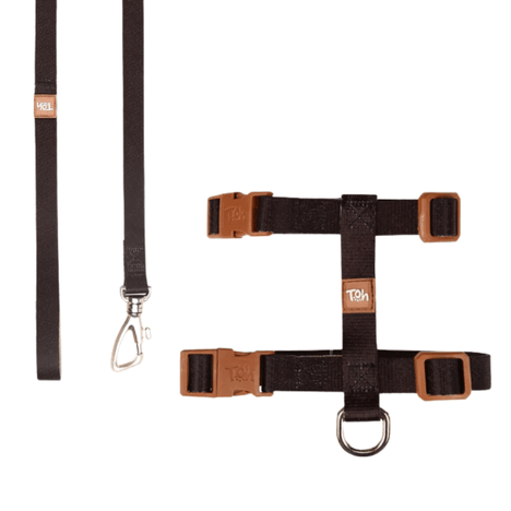 Conjunto Peitoral H Toh Preto e Caqui para Gato Conjunto Peitoral H Toh Preto e Caqui para Gato