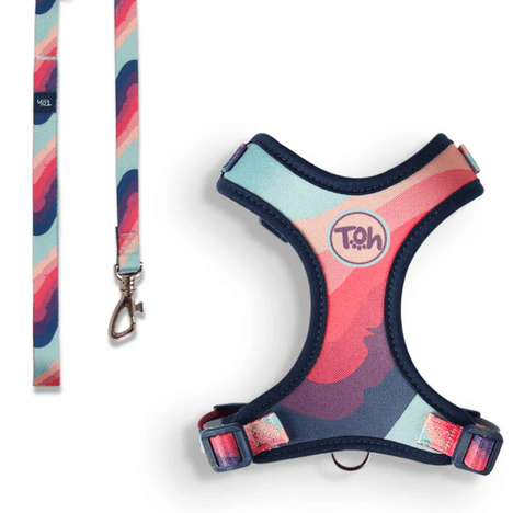 Conjunto Peitoral Neocomfy H Toh Alpaca para Gato Conjunto Peitoral Neocomfy H Toh Alpaca para Gato