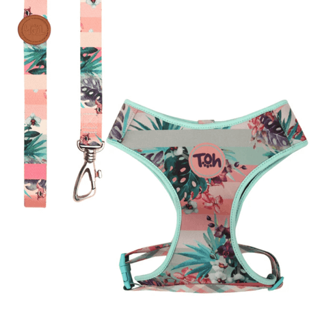 Conjunto Peitoral Neocomfy H Toh Laguna para Gato Conjunto Peitoral Neocomfy H Toh Laguna para Gato