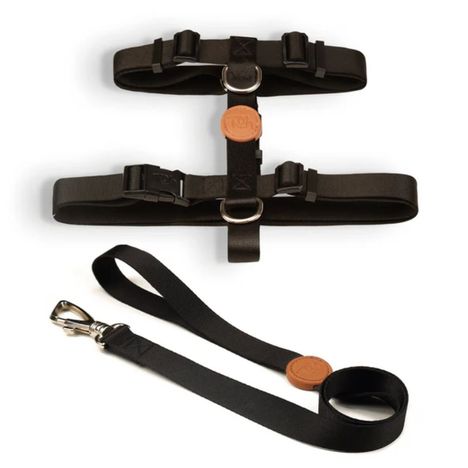 Conjunto Peitoral H e Guia Black - PP