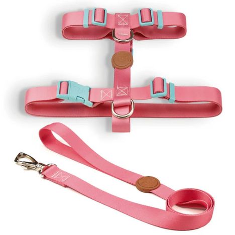 Conjunto Peitoral H e Guia Fiji - G
