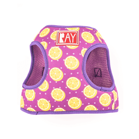 Peitoral Print + Guia Lemon Roxo M Peitoral Print + Guia Lemon Roxo M