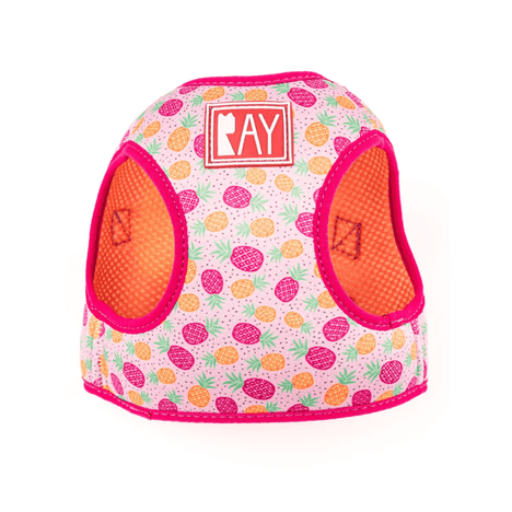 Peitoral Print + Guia Pineapple Pink M Peitoral Print + Guia Pineapple Pink M