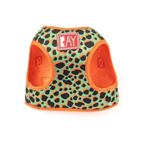 Peitoral Print + Guia Animal Print Orange M