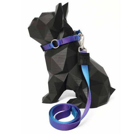 Coleira e Guia Estampa Aurora G Coleira e Guia Estampa Aurora G