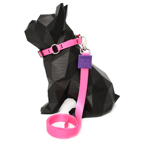 Coleira e Guia Estampa Pink M