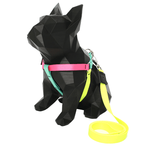 Peitoral Americano e Guia Estampa Mix M Peitoral Americano e Guia Estampa Mix M