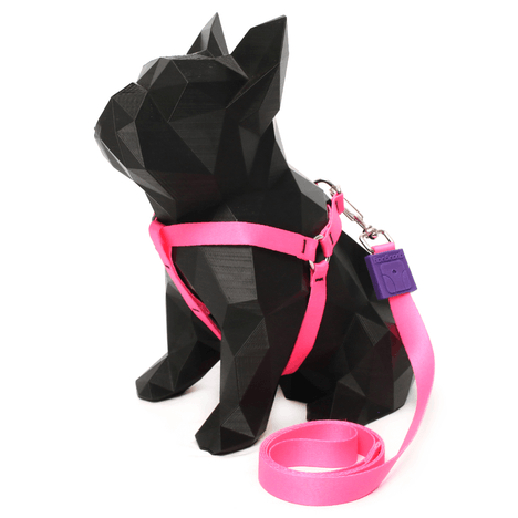 Peitoral Americano e Guia Estampa Pink GG