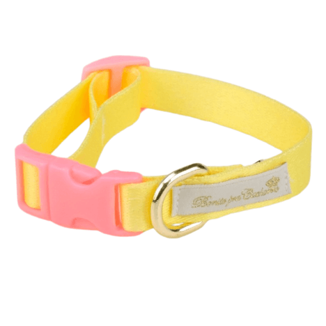 Coleira em Seda Amarelo M Coleira em Seda Amarelo M