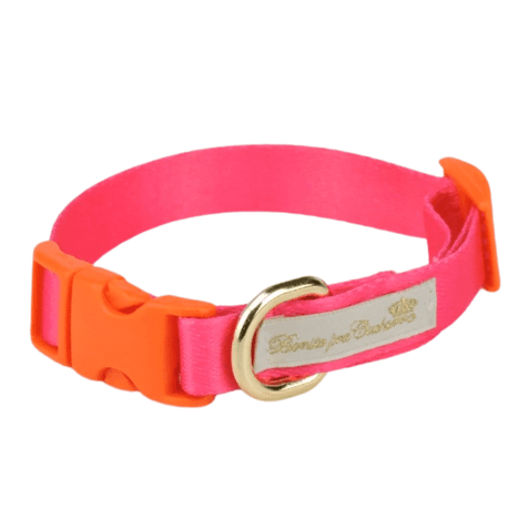 Coleira em Seda Pink M