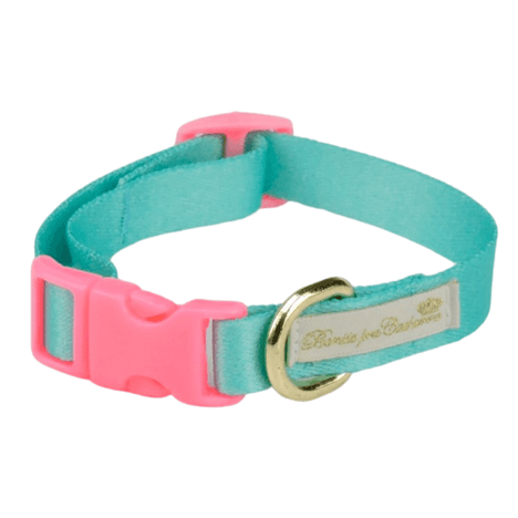 Coleira em Seda Verde Água G Coleira em Seda Verde Água G