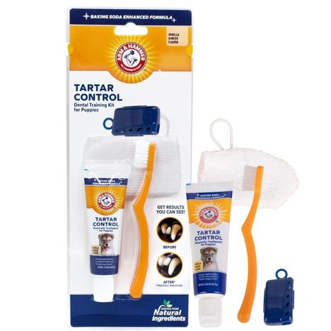 Arm & Hammer Tartar Control Kit Escova, Massageador de Gengiva e Pasta de Dentes para Cães Filhotes - Sabor Baunilha e Gengibre