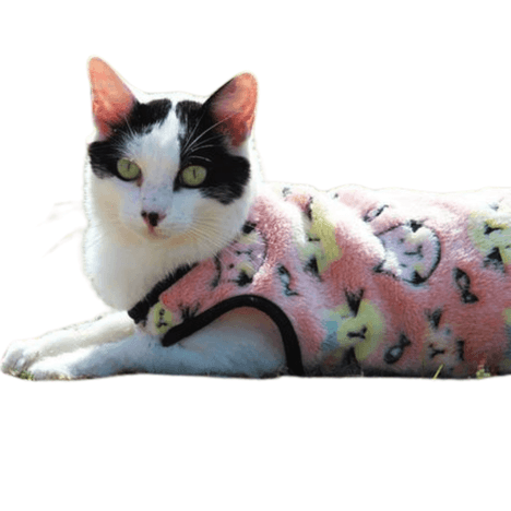 Blusa My Dream Cat GG Pickorruchos