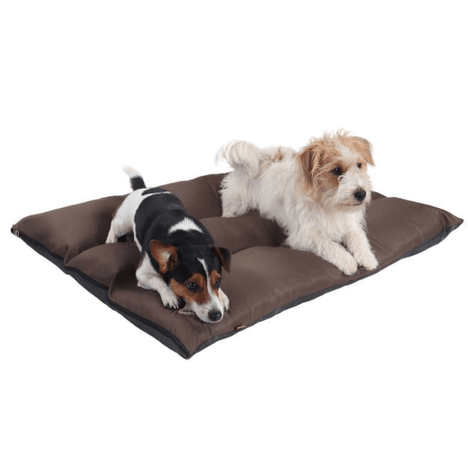 Colchodog Puppy Choco G Pickorruchos Colchodog Puppy Choco G Pickorruchos