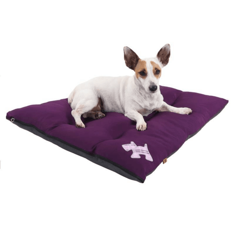 Colchodog Puppy Violeta M Pickorruchos