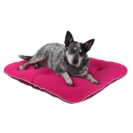 Almofadog Ultra Soft Rosa M Pickorruchos