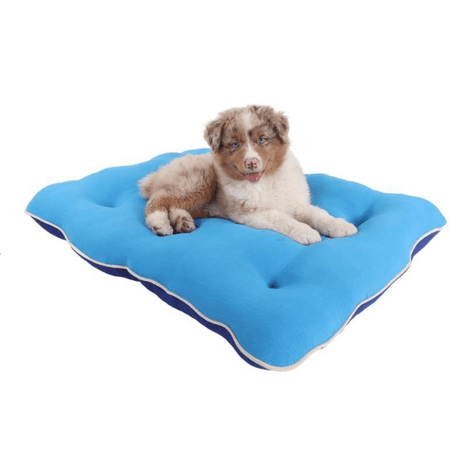 Almofadog Ultra Soft Azul M Pickorruchos