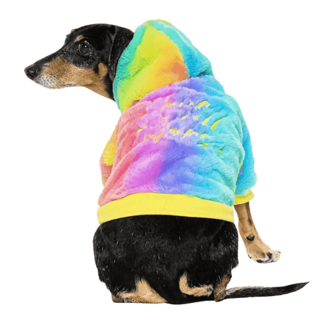 Casaco Estampa Rainbow Tamanho 8 Casaco Estampa Rainbow Tamanho 8