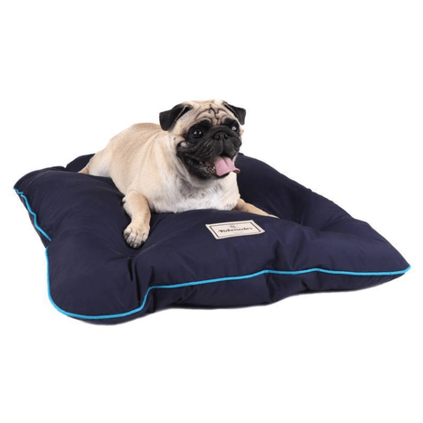 Almofadog Marinho G Pickorruchos