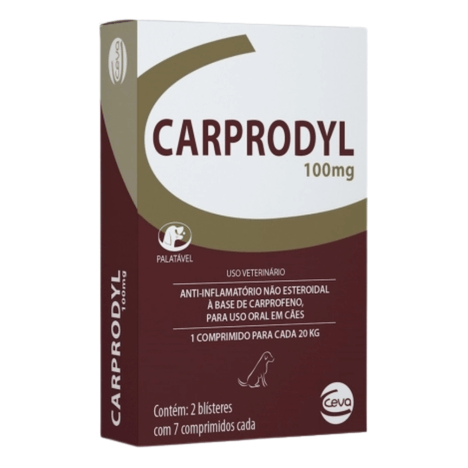 Carprodyl 100mg com 14 Comprimidos