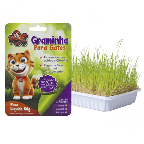 Graminha para Gatos CatDog – 50 g Graminha para Gatos CatDog – 50 g