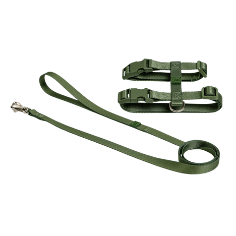 Conjunto Peitoral H Toh Florest para Gato Conjunto Peitoral H Toh Florest para Gato