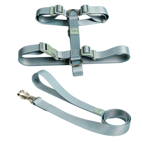 Conjunto Peitoral H Toh Alga P