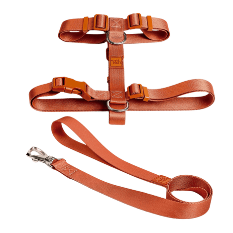 Conjunto Peitoral H Toh Coral P Conjunto Peitoral H Toh Coral P