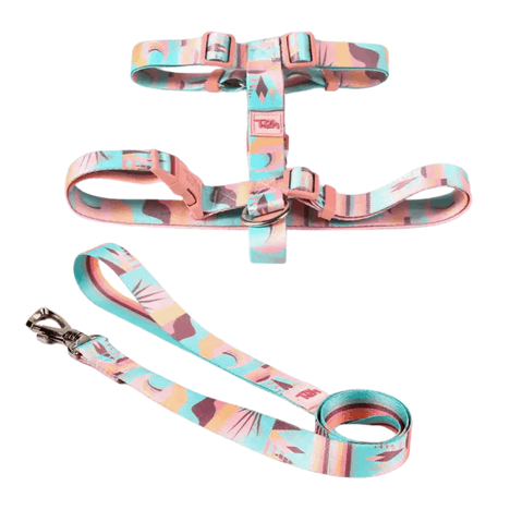 Conjunto Peitoral H Toh Atacama PP Conjunto Peitoral H Toh Atacama PP