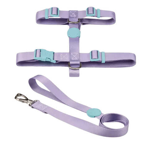 Conjunto Peitoral H Toh Lilás G