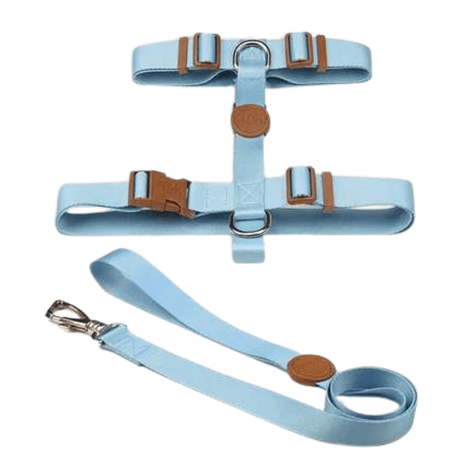 Conjunto Peitoral H Toh Azul PP Conjunto Peitoral H Toh Azul PP