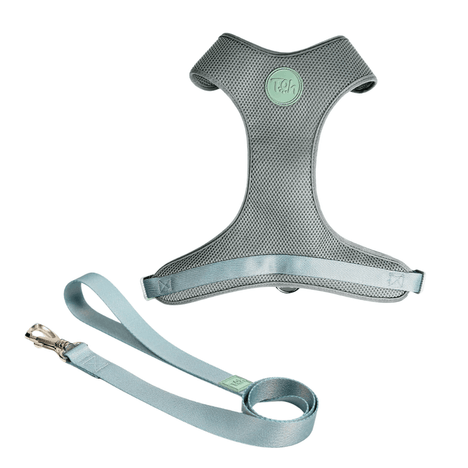 Conjunto Peitoral Mesh H Toh Alga PP