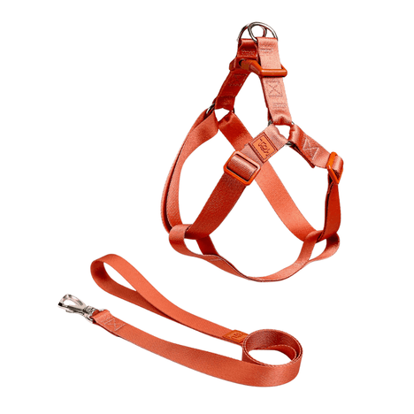 Conjunto Peitoral Step In Toh Coral G