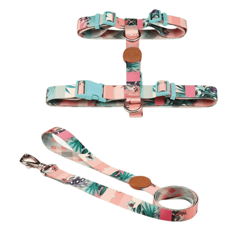 Conjunto Peitoral H Toh Savana G Conjunto Peitoral H Toh Savana G